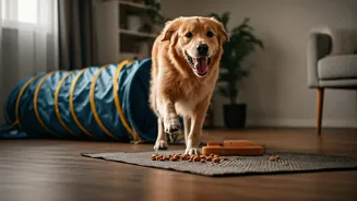 Indoor Dog Sensory Obstacle Courses Dominate Pet Care Feeds