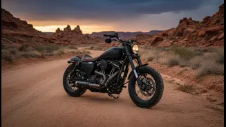 Deadwood Could Appeal To Riders Who Find Regular Cruisers Too Polished