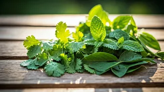 5 Herbs to Elevate Your Indian Chutney Game Instantly