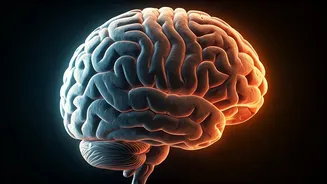 30 Days Without Coffee: What Your Body Truly Experiences, According to Experts