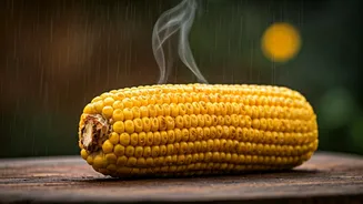 Rain And Bhutta? India's Perfect Match
