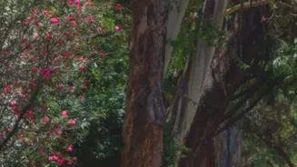 Nature Lovers Are Exploring Bengaluru's Lesser-Known Monsoon Escapes In 2026