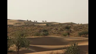 Weather Patterns in Rajasthan: Best Seasons to Visit