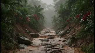 Monsoon Wildlife Travel Has Entered Alert Mode