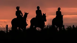 How Equestrian Trips Reveal A Different Side Of Rural Portugal