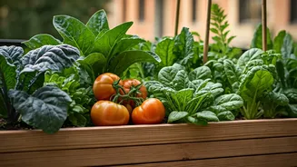 How Urban Families Eradicate Chemical Exposure Via Backyard Farm Frameworks
