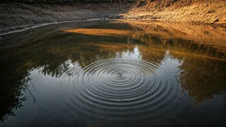 Sinkhole Water: A Miraculous Cure or Danger?