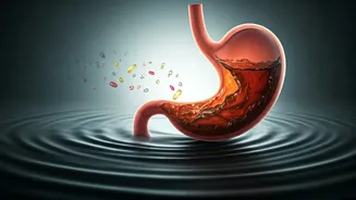 Beyond the Brew: The Health Perils of Rajpal Yadav's 13-Cup Tea Habit