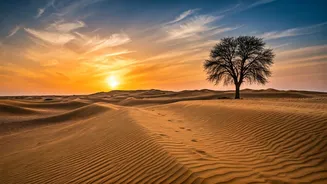 Rajasthan’s Dry Desert Escape Is Seriously Underrated