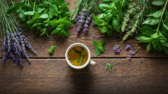 5 Natural Ways to Boost Your Well-being with Herbs