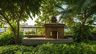 Bengaluru Engineer's Rooftop Forest: A Green Oasis in the City