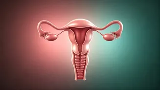 Your Comprehensive Guide to Women's Wellness: Navigating Health Through Every Stage