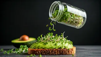Health Conscious Youth Sprinkle Microgreens For Instant Nutrient Spikes