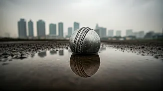 Delhi's Weather Rollercoaster: Rainfall and Pollution