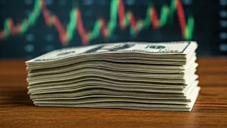 Navigating the Market: Economic Insights