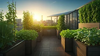 Why Urban Agriculture Degrees Are Highly Coveted By Eco