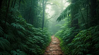 North India's Rainy Forests Feel Straight Out Of Dreams