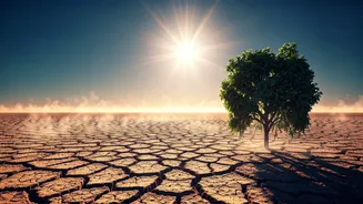 Nautapa 2026: Navigating India's Intense Nine-Day Heatwave and Its Health Impacts
