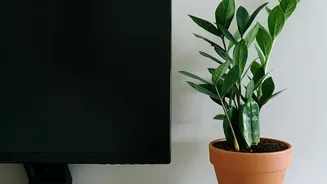 How Gen Z Home Decorators Incorporate Traditional Clay Pottery Into Modern Apartments