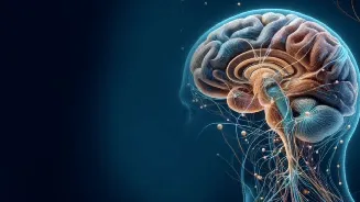 1 in 7 stroke patients in India are aged 18–44: ICMR warns of lifestyle risks