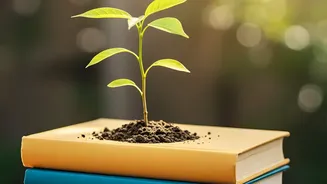 Career Reset Guide: What To Learn And Improve During The New Quarter