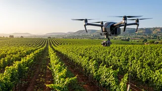 Drones to protect Nashik grape crops