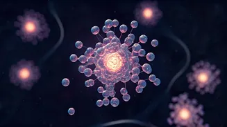 Daily Magnesium: Unpacking the Benefits and Potential Dangers for Your Health