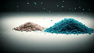 Are Daily Food Staples Passing Microplastics Into Your Body?