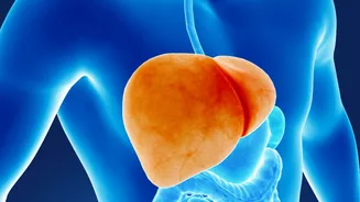 Que alimentos comuns podem acelerar a gordura no fígado? Descubra (e passe longe)