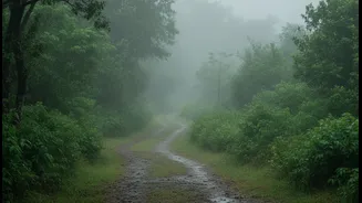 Rainy Holidays Are Emerging As A Strong Alternative To Summer Vacations