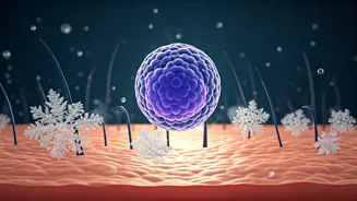 Staying Healthy This Winter: Dermatologist's Guide