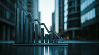 Lenskart IPO: Will It Beat the Odds?