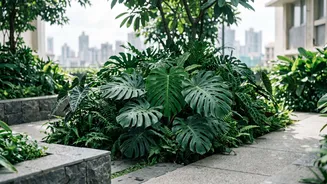 Why Mumbai Residents Demand Better Urban Greenery To Combat Worsening October Heat Waves