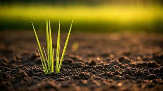 Bohag Bihu 2026: Embrace Assamese New Year with Joy, Traditions, and Festive Wishes