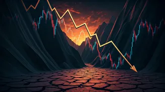 Indian Stock Market: A Downward Trend Explained