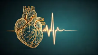 Normal Blood Pressure Doesn't Guarantee Heart Attack Immunity: Understanding Your Risks