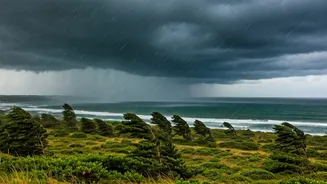 Cyclone Montha: Andhra Pradesh & Odisha on High Alert