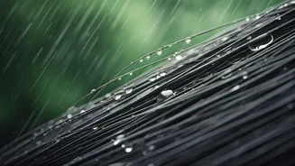 Why Everyone Complains About Hair Fall During Rains