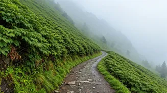 Rain Lovers Are Skipping Lonavala For These Gems