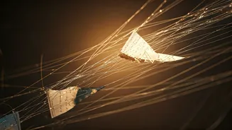 Unpacking Don Miguel Ruiz's Quote: The Complex Web of Our Beliefs