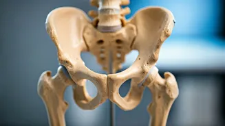 9 Ways to Boost Hip Mobility This Winter, According to an Orthopaedist