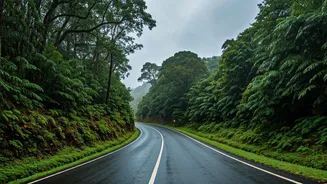 Rainy Season Turns Konkan Into A Drive Fantasy