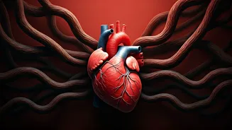 Protect Your Heart: 5 Common Diet Pitfalls Linked to Increased Heart Attack Risk