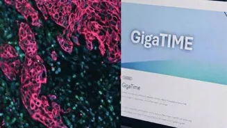 Microsoft AI maps proteins in cancer samples overnight