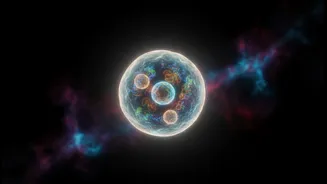 Why Scientists Study Microgravity Before Sending Humans Deeper Into Space