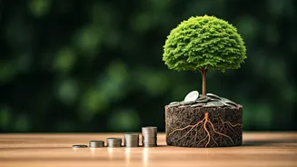 Never Break Monthly Budgets Automating Small Recurring Safety Cushion Funds