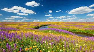 7 Daily Habits for a Happier Life: Simple Steps to Joy