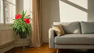 Cancer Horoscope: A Promising Day Ahead!