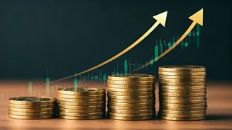Top-Performing Equity Mutual Funds: 15 Investments with 20%+ CAGR