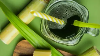 Debunking cold-pressed juice myths: Understanding why fiber loss leads to immediate blood sugar spikes